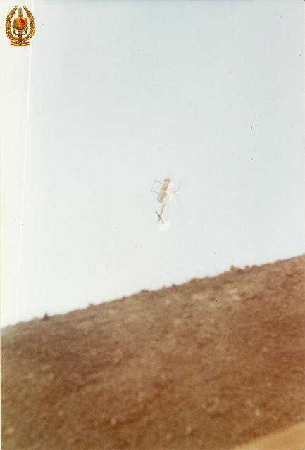 COE 92 1986_0027.jpg